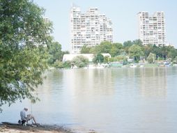 Zemun, Lido, pontonski most