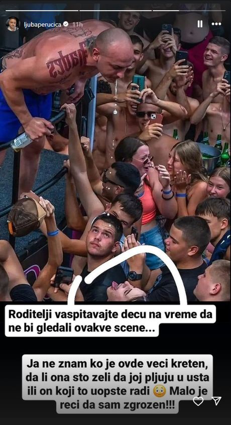 Ljuba Perućica, Desingerica