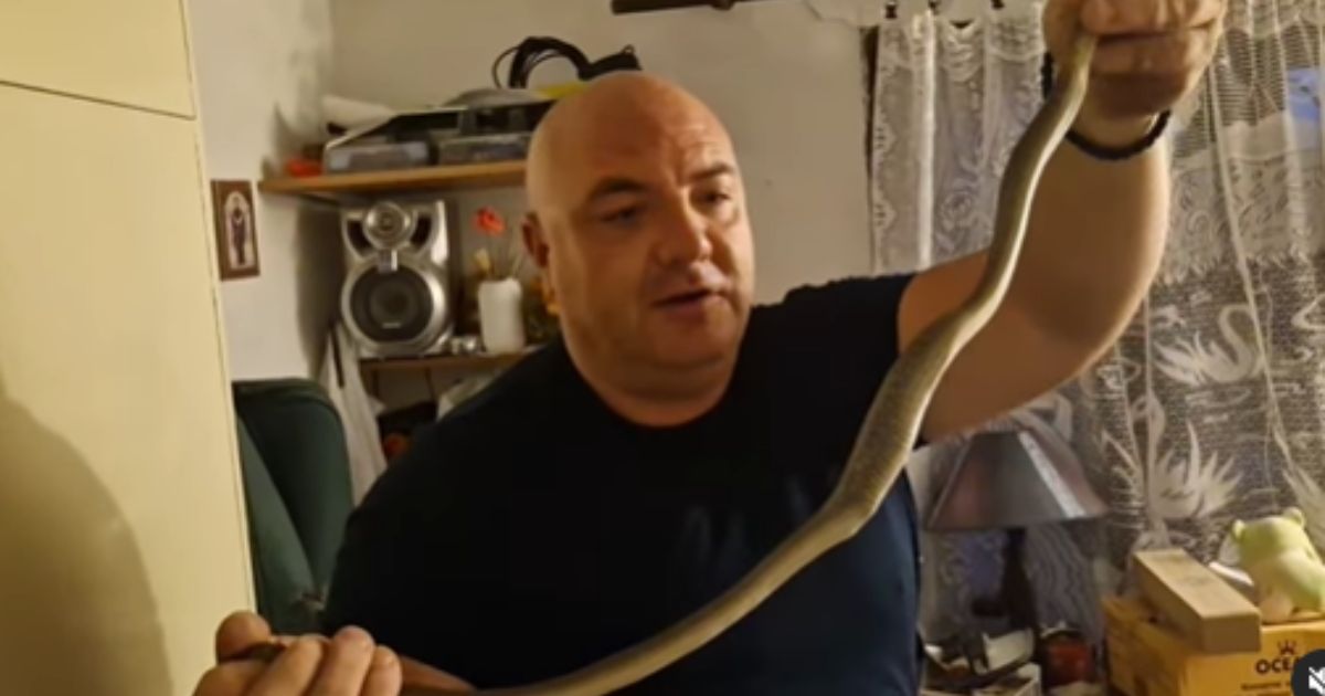 Tireless Vladica: Another successful operation by the most sought-after man in the Pčinja district