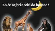 Ko će najbrže stići do banane: Vaš odgovor otkriva kakva ste osoba pod pritiskom