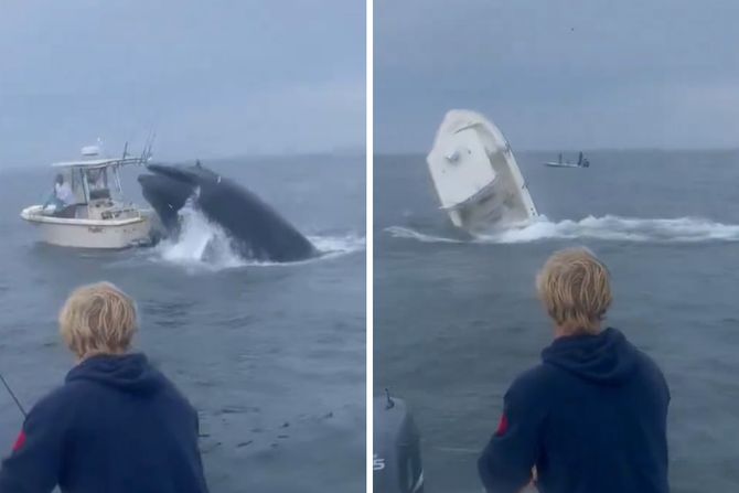 kit potopio brod kit potopio brod