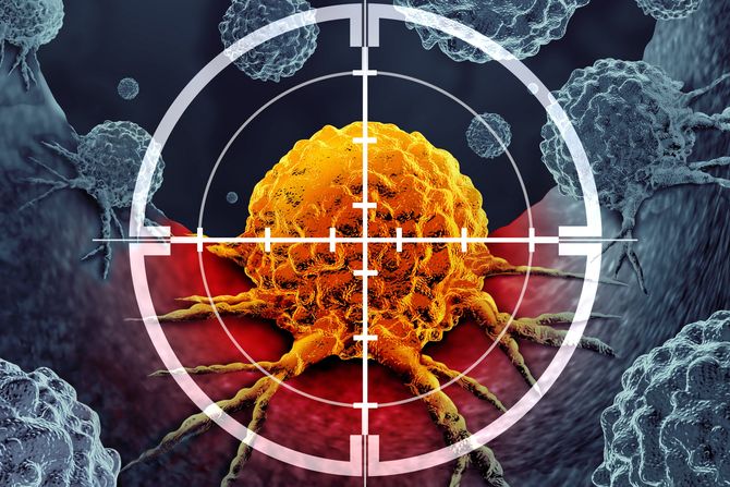 Rak tumor otkrivanje Rak tumor otkrivanje