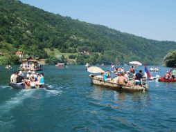 Mali Zvornik manifestacija