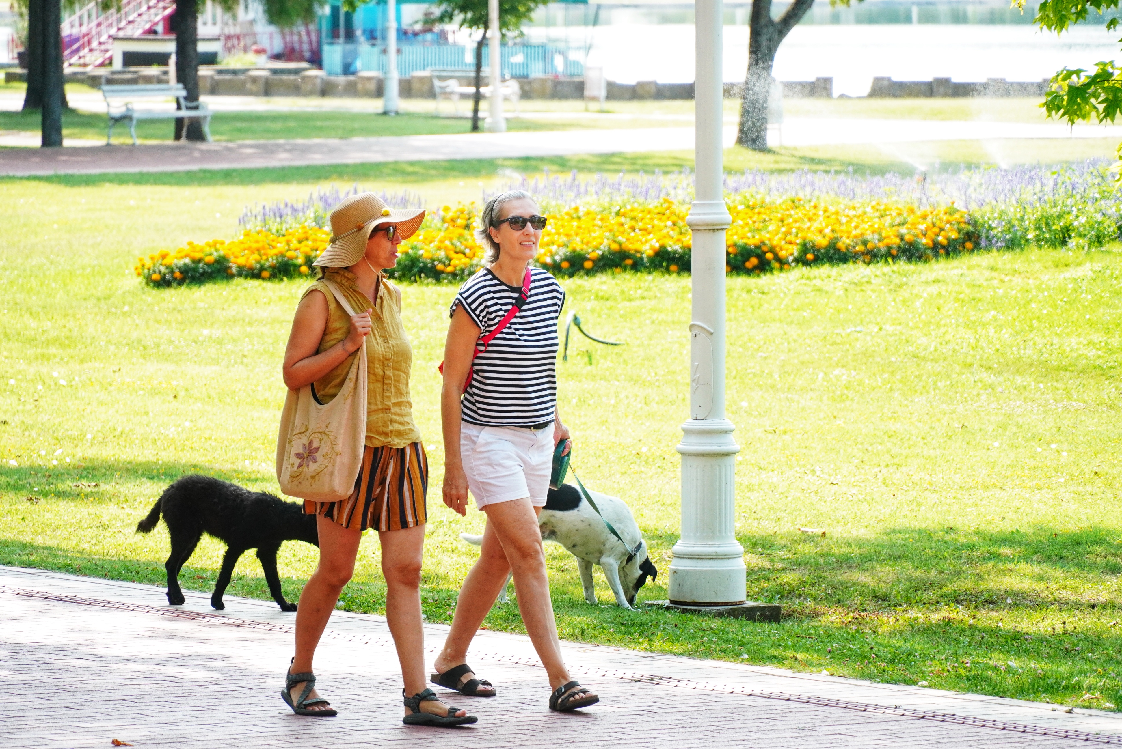 Sunce se vraća, ali jedan deo Srbije ipak čeka kiša: Najviša dnevna do 31 °C