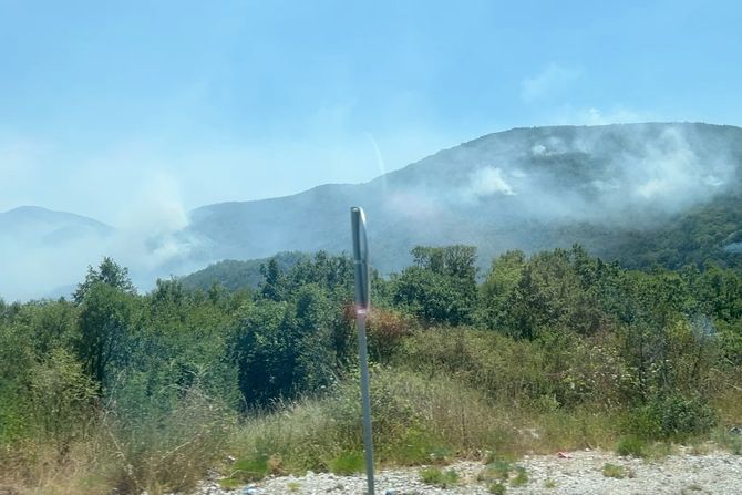 šumski požar, cetinje, crna gora