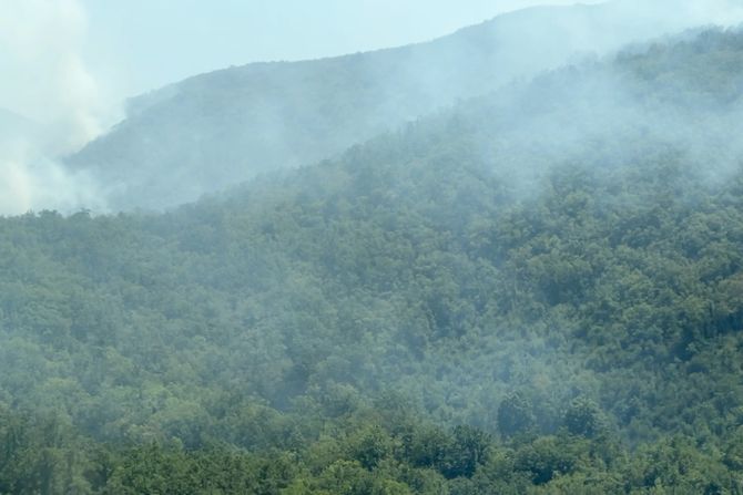 šumski požar, cetinje, crna gora