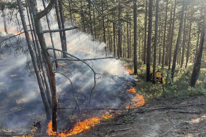 Kragujevac, Stragari, požar na divljoj deponiji