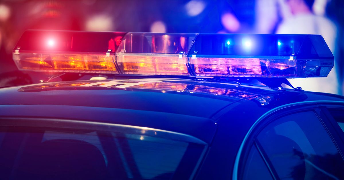 Boutique owner arrested 15 times this year: Her mugshots are going viral