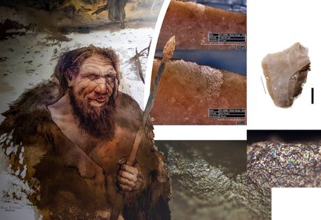 Neandertalci i obrada ptica