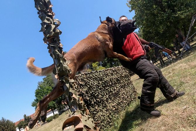 Obuka vodiča i pasa za pronalaženje minsko-eksplozivnih sredstava