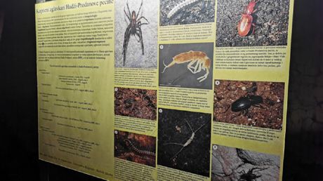 Hadži-Prodanova pećina, pećina, Ivanjica