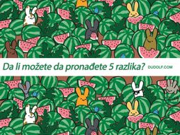 Dudolf pronađite 5 razlika