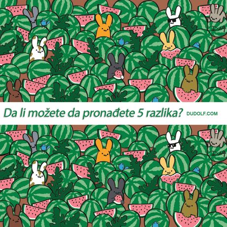 Dudolf pronađite 5 razlika