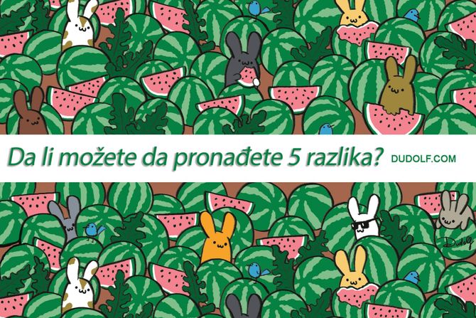 Dudolf pronađite 5 razlika