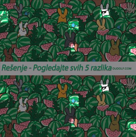 Dudolf pronađite 5 razlika
