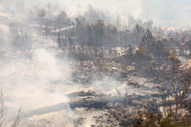 Drama u Hrvatskoj: Počela evakuacija stanovništva u Podgori, požar kod Tučepa  se ponovo razbuktao - Vesti - Telegraf.rs