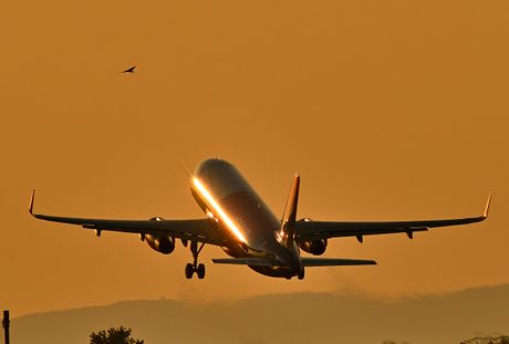 Wizz Air Airbus A320