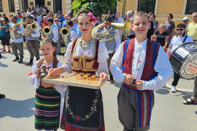 guča, sabor, dejan petrović, trubači