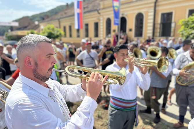 guča, sabor, dejan petrović, trubači