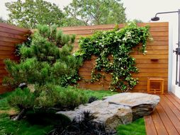 dvorište Dženifer Aniston