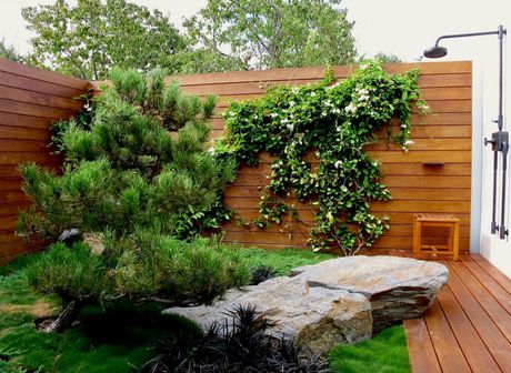 dvorište Dženifer Aniston