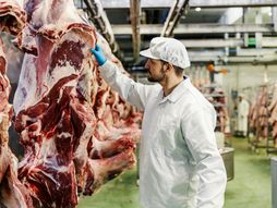 Klanica meso fabrika