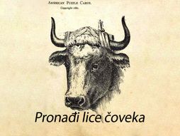 Skrivalica optička iluzija krava