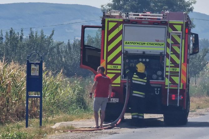 Veliki požar na niskom rastinju u Sajlovu u Novom Sadu.