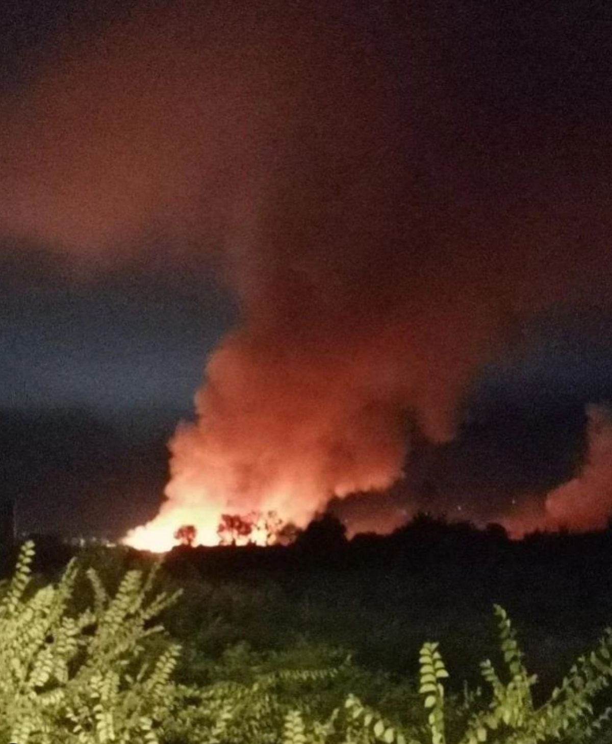 Drama kod Štrpca: Vatra guta sve pred sobom, požar se nemilosrdno širi, snimci su strašni