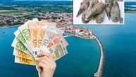 Ljušturu ove školjke ni slučajno nemojte vaditi iz mora: Strani turisti platili kaznu od 1.800 € u Hrvatskoj