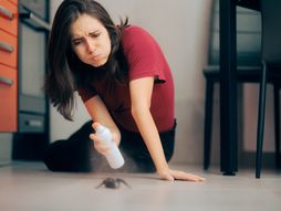 sprej, pauk, sprej protiv pauk