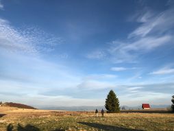 Šuma planina Golija