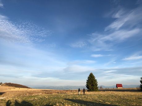 Šuma planina Golija