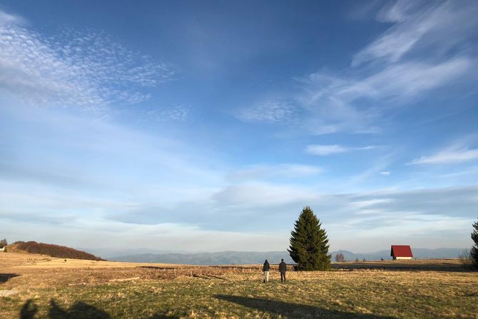 Šuma planina Golija Šuma planina Golija