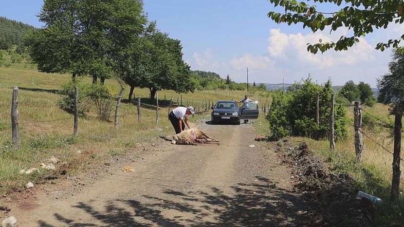 Foto: Deno Honić/Telegraf.rs