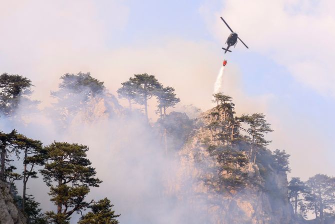 Požari Bosna BiH Sutjeska helikopteri