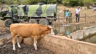 Serbian Army in action: They are delivering water to cattle stranded on Suva Mountain after spring dries up