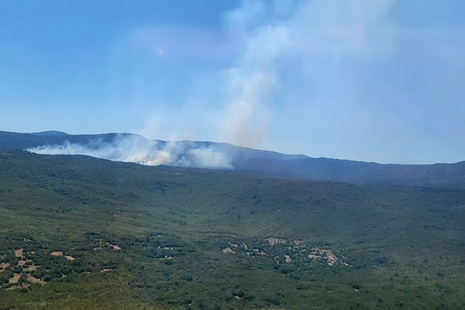 Bileća požar