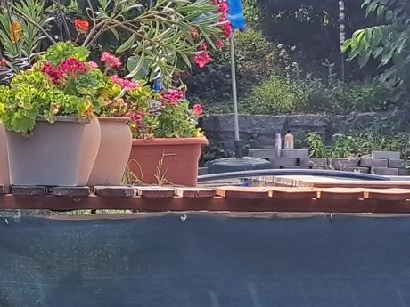 Gamzigradska banja, lokvanji