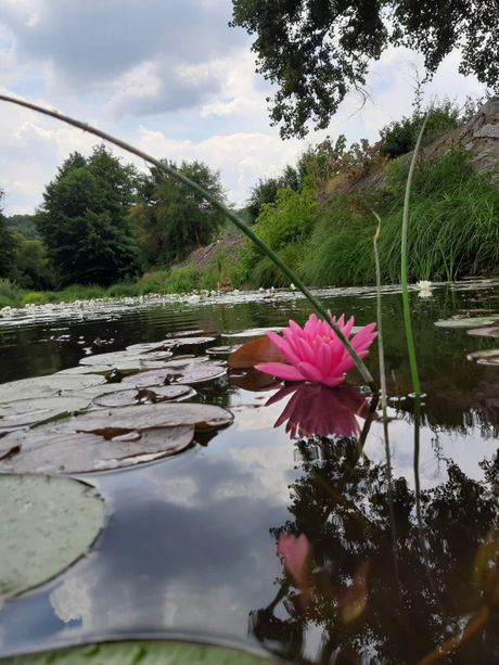 Gamzigradska banja, lokvanji Gamzigradska banja, lokvanji