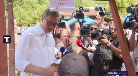 Vučić, Medveđica, Dani proje i sira