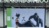 Londonski zoološki vrt uklonio Benksijev mural sa gorilom da bi ga sačuvao