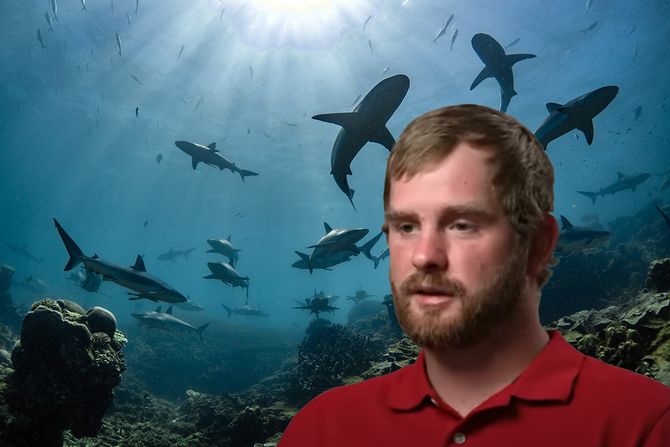 jato ajkula jato ajkula