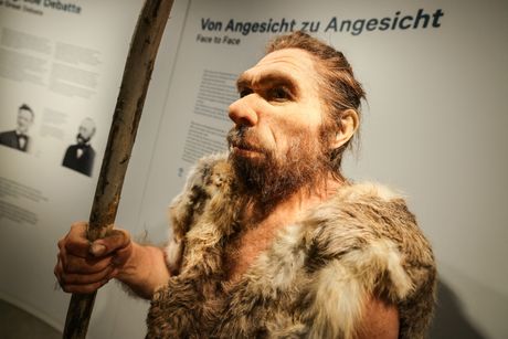 Neandertalac