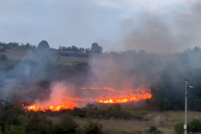 Požar kod Ikee