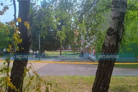 pucnjava u Sanskom mostu