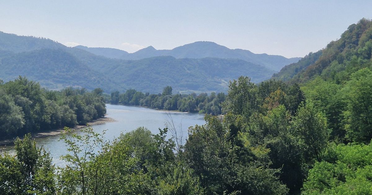 Zašto se kaže "Ispravljati krivu Drinu“?