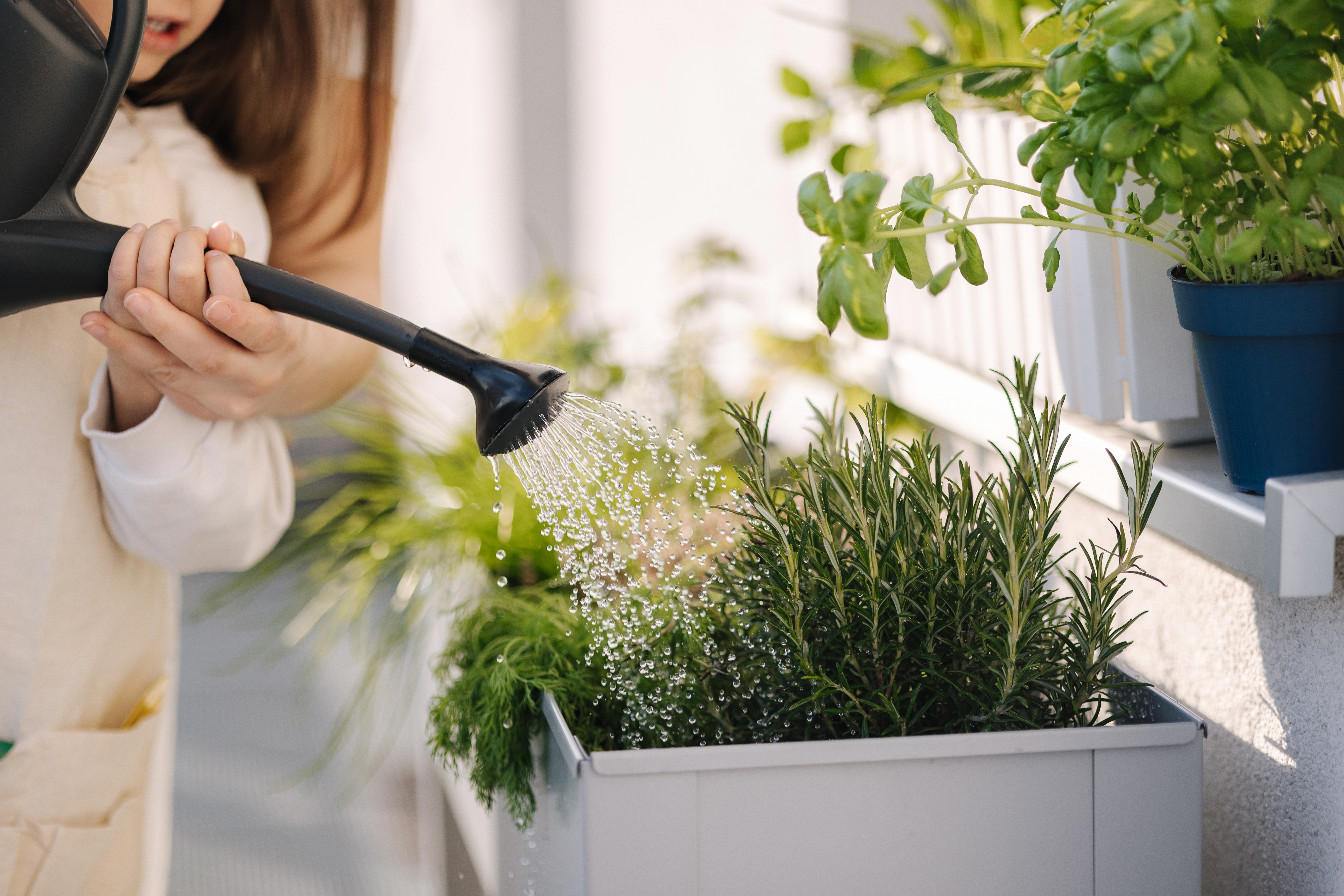 Ne treba vam dvorište da imate svoju baštu: Ovaj trik sa začinskim biljem na prozoru menja sve