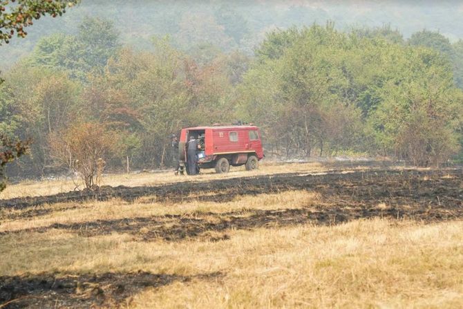 Ivica Dačić, Stara planina, Vidlič, vatrogasci ,vatrogasac, požar, šumski požar Ivica Dačić, Stara planina, Vidlič, vatrogasci ,vatrogasac, požar, šumski požar