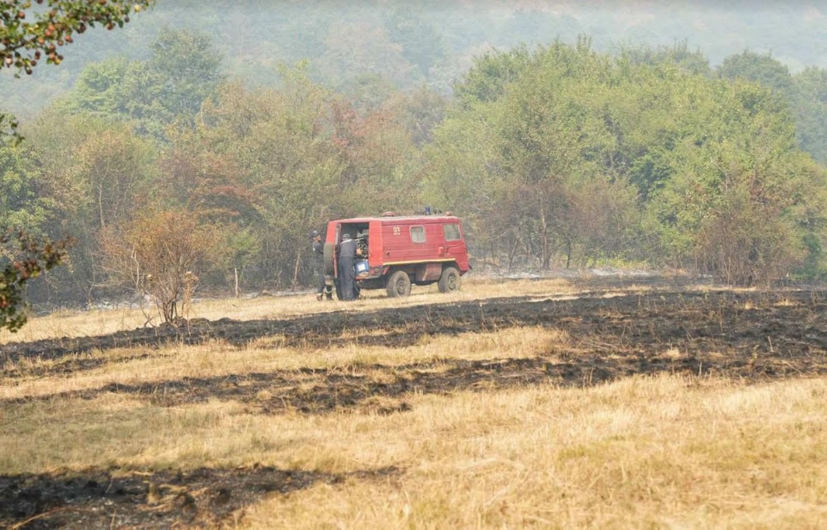 Na gazdinstvu Manastira Beočin izbio požar: Zapalilo se rastinje ispod dalekovoda